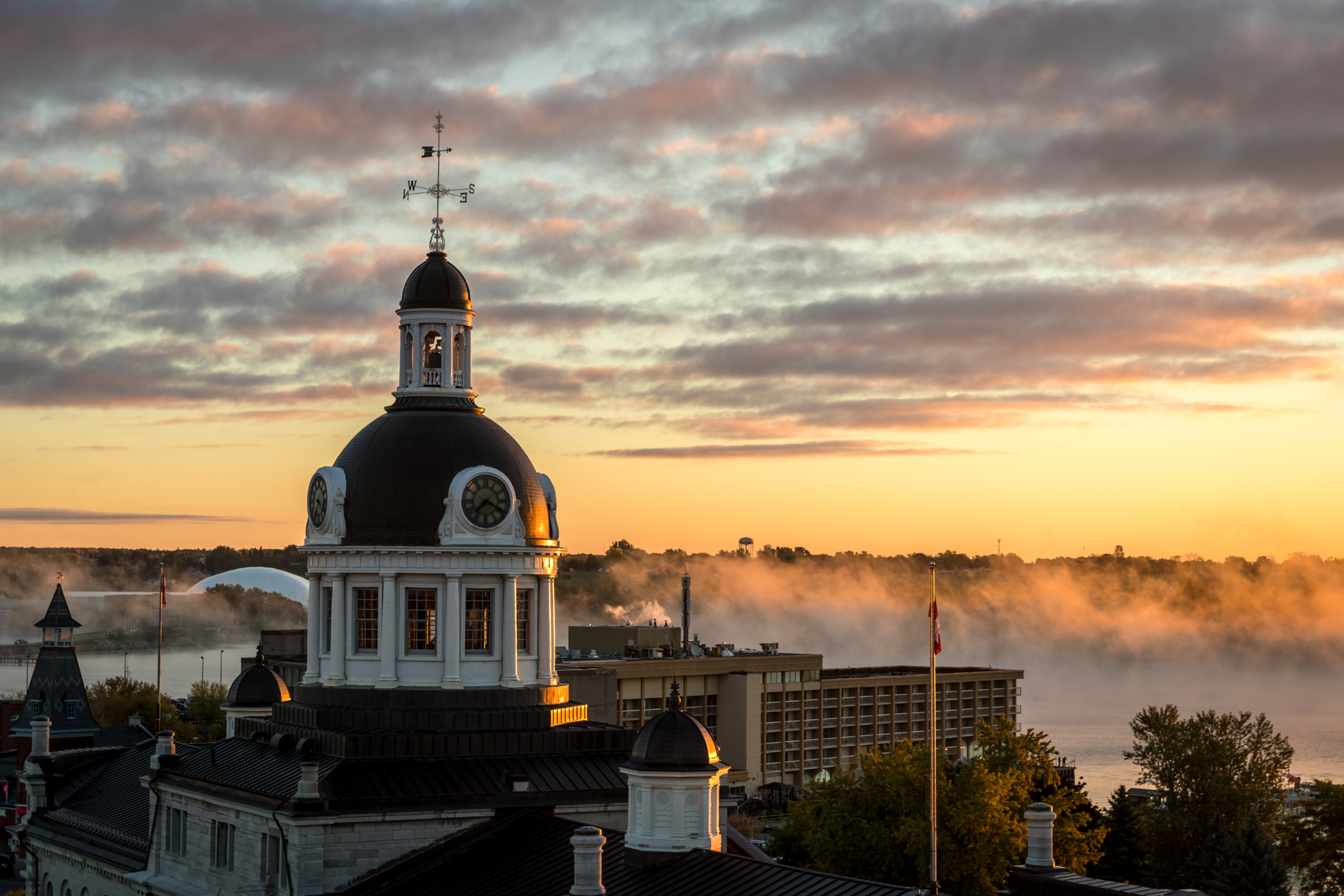 kingston (3).webp